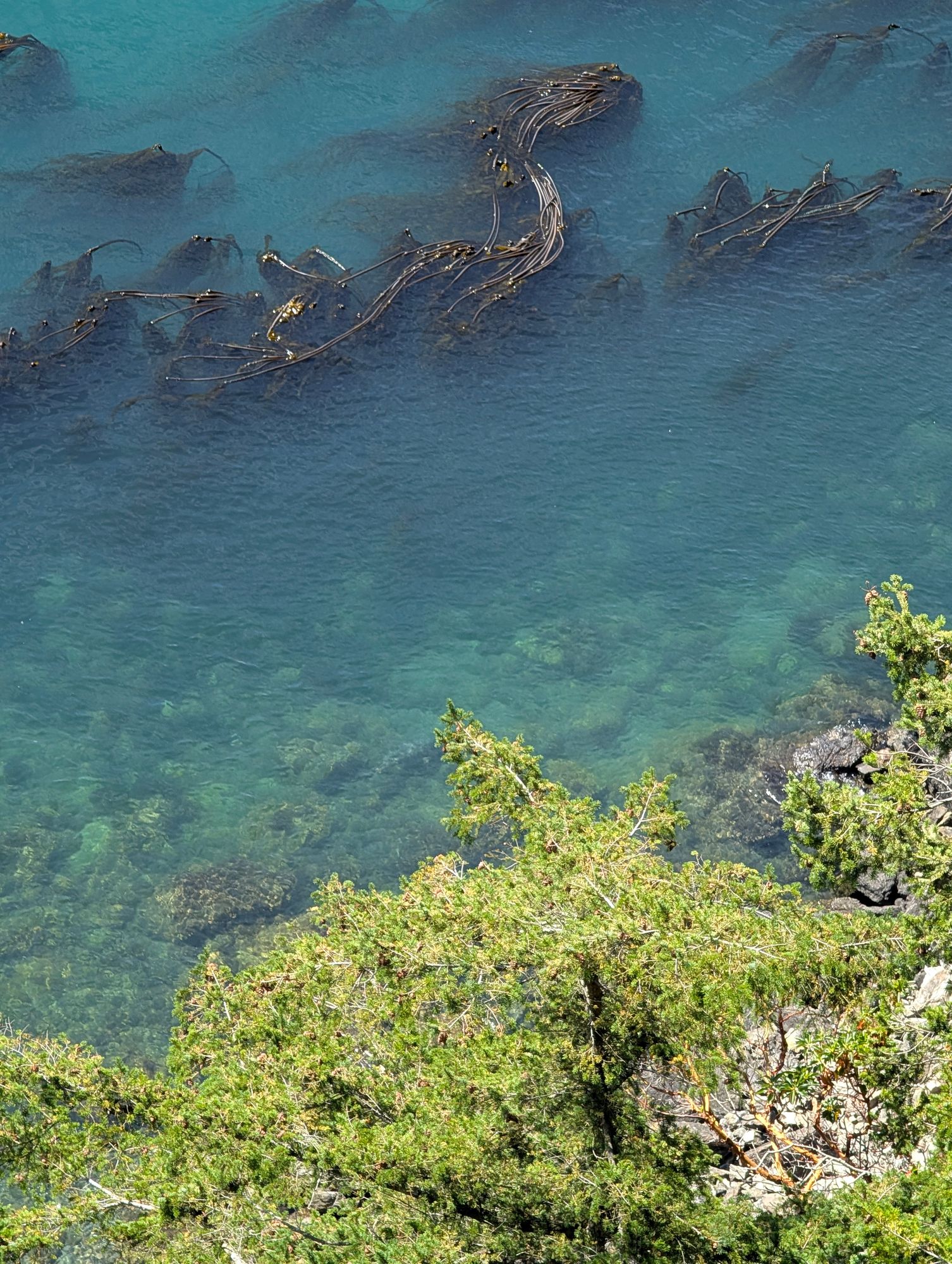 That impossible island water