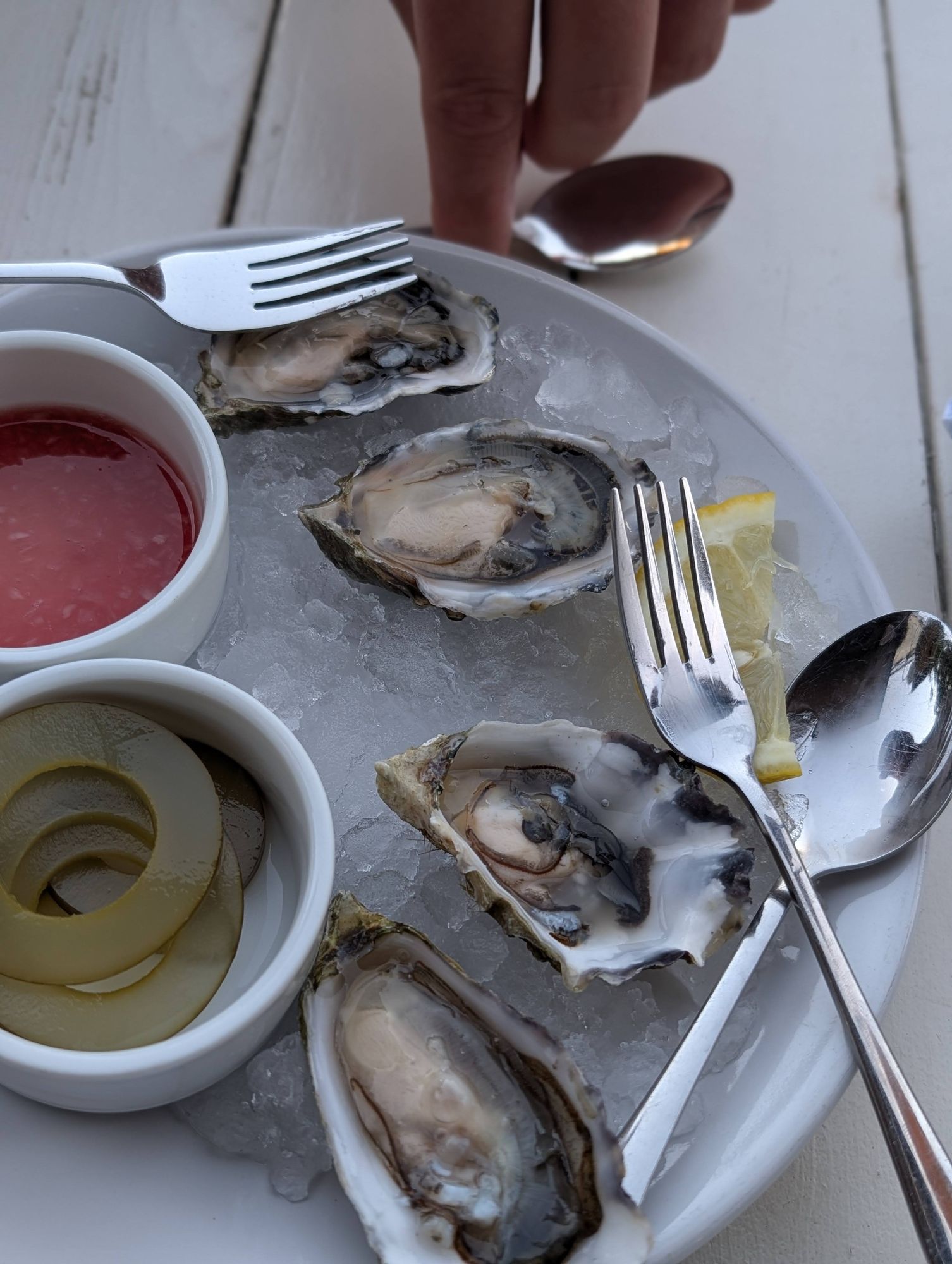 The oysters at Oystertale